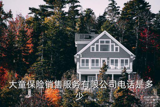 大童保險(xiǎn)