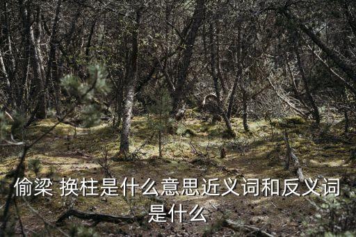 偷梁 換柱是什么意思近義詞和反義詞是什么