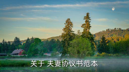 關(guān)于 夫妻協(xié)議書范本