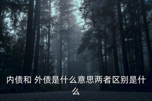 外債是什么意思,全口徑外債是什么意思