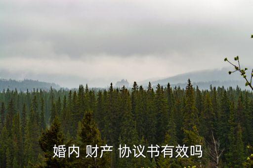婚內(nèi)財產(chǎn)協(xié)議具有法律效力嗎