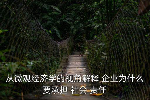 從微觀經(jīng)濟(jì)學(xué)的視角解釋 企業(yè)為什么要承擔(dān) 社會(huì) 責(zé)任