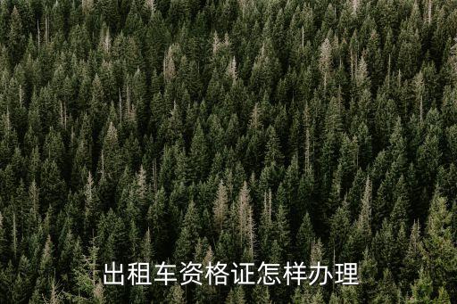 出租車(chē)上崗證