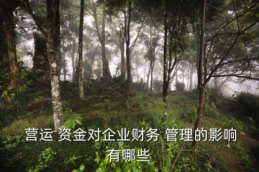 營運(yùn)資金管理