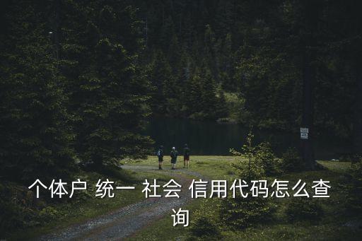 個(gè)體戶 統(tǒng)一 社會(huì) 信用代碼怎么查詢