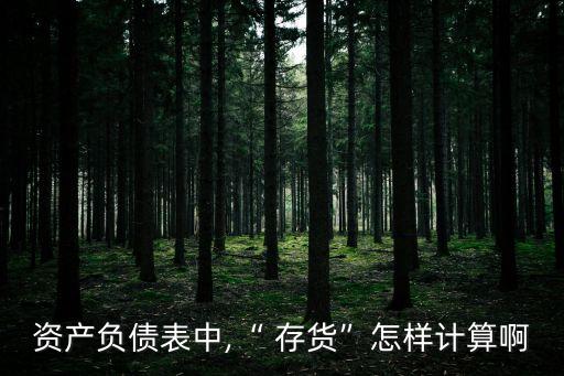 資產(chǎn)負(fù)債表中,“ 存貨”怎樣計算啊