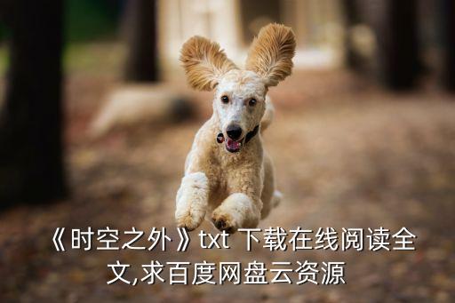 《時空之外》txt 下載在線閱讀全文,求百度網(wǎng)盤云資源