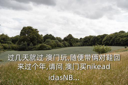 澳門假貨一條街,澳門玩三天大概費用多少