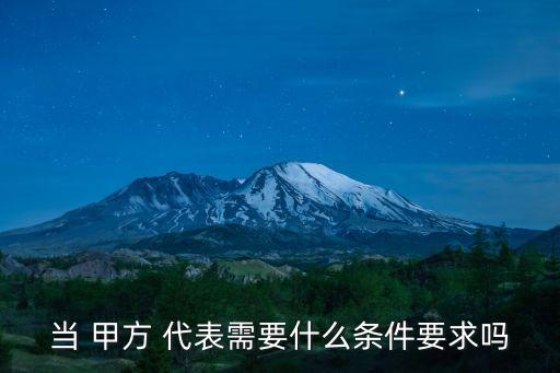 當(dāng) 甲方 代表需要什么條件要求嗎