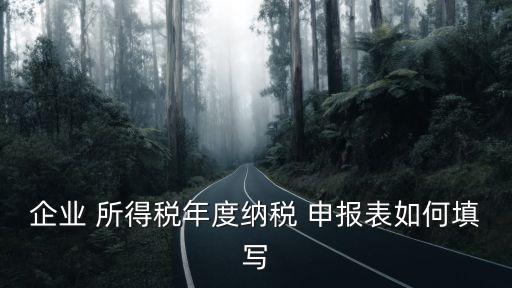 所得稅申報表