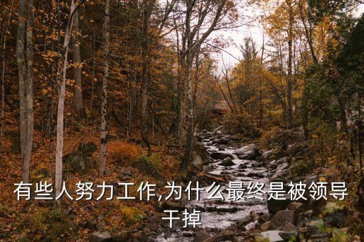 有些人努力工作,為什么最終是被領(lǐng)導(dǎo)干掉