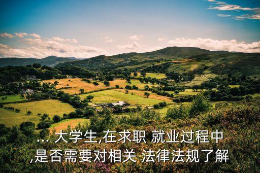 大學(xué)生就業(yè)合同法律法規(guī)有哪些