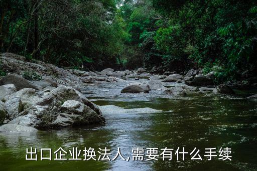 外資企業(yè)法人變更