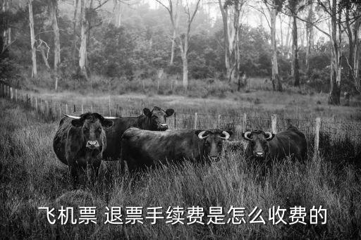 飛機(jī)票退票扣多少錢(qián),800塊的飛機(jī)票退票扣多少錢(qián)