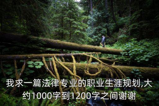 國(guó)際私法論文