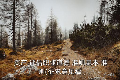  資產(chǎn) 評估職業(yè)道德 準則基本 準則(征求意見稿