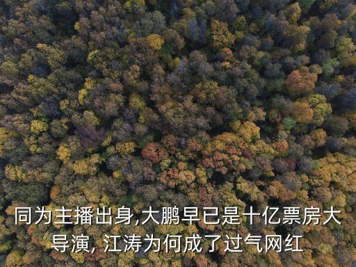 同為主播出身,大鵬早已是十億票房大導演, 江濤為何成了過氣網(wǎng)紅