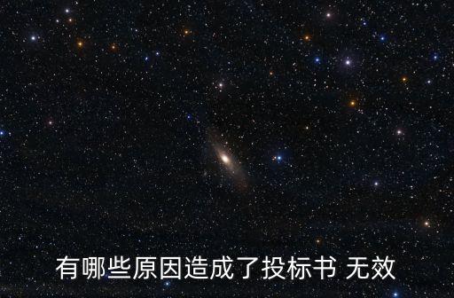 招標(biāo)無(wú)效由誰(shuí)認(rèn)定的