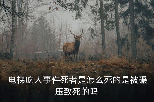 吃人電梯,吃人的兒童滑梯