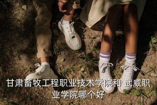 甘肅畜牧工程職業(yè)技術(shù)學(xué)院和 武威職業(yè)學(xué)院哪個(gè)好