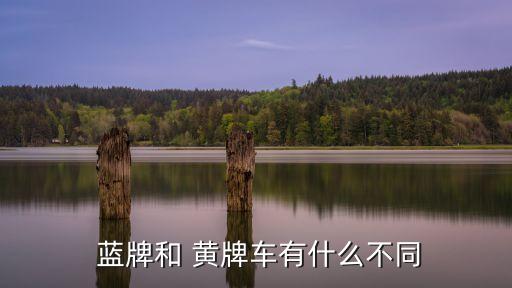  藍(lán)牌和 黃牌車有什么不同