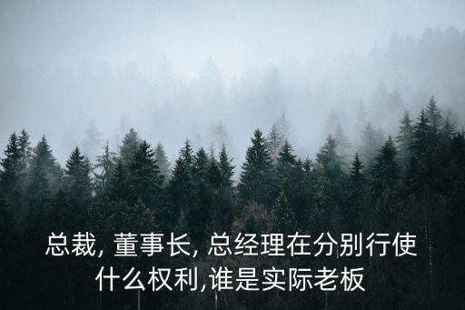 總裁, 董事長, 總經理在分別行使什么權利,誰是實際老板