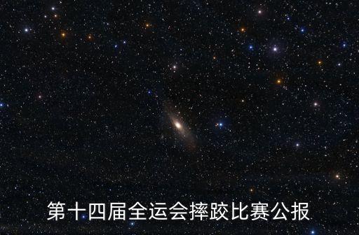 王成武