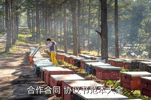 書面協(xié)議模板,婚前財產(chǎn)協(xié)議模板