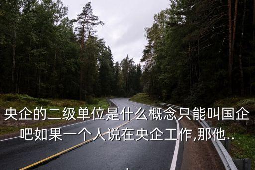 央企是什么意思,國(guó)資委央企是什么意思