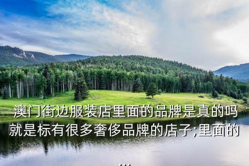  澳門街邊服裝店里面的品牌是真的嗎就是標(biāo)有很多奢侈品牌的店子;里面的...