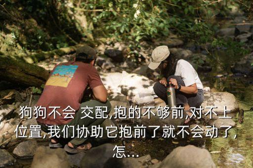幼女交配視頻,正交配方法視頻網(wǎng)站