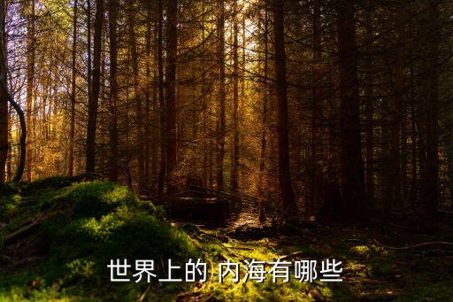內(nèi)海