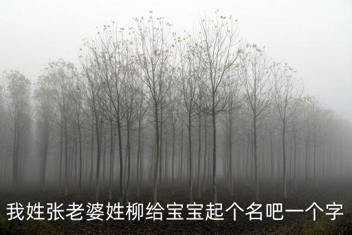 張文煜