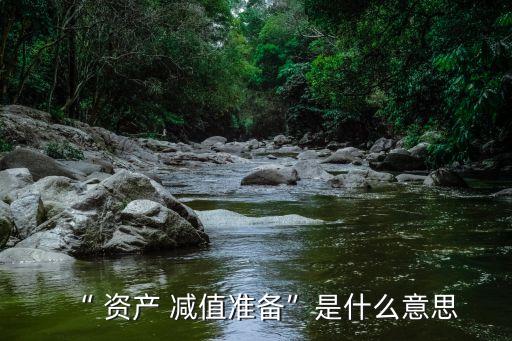 “ 資產(chǎn) 減值準(zhǔn)備”是什么意思