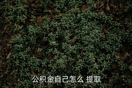 個人公積金如何提取,急需用錢提取公積金