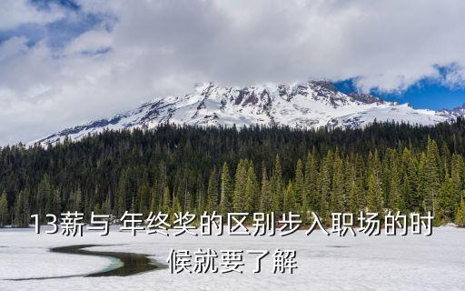 年終獎和十三薪哪個好,公司福利一般有哪些