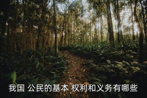公民基本權(quán)利