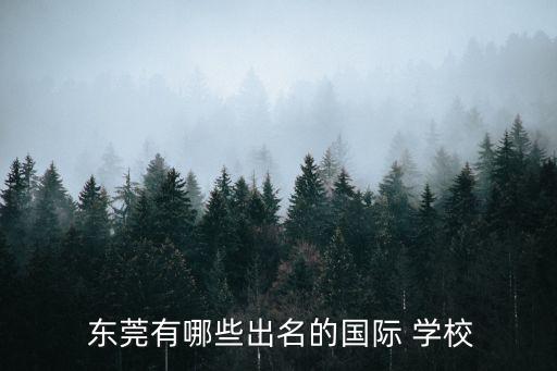  東莞有哪些出名的國際 學(xué)校