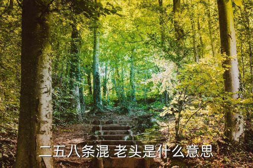 二五八條混 老頭是什么意思