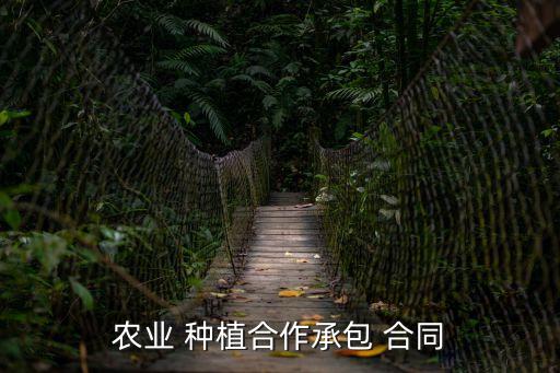 農(nóng)業(yè) 種植合作承包 合同