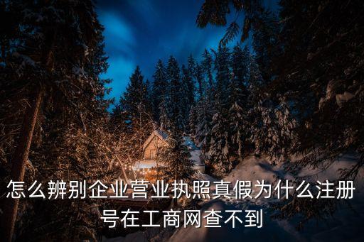 怎么辨別企業(yè)營(yíng)業(yè)執(zhí)照真假為什么注冊(cè)號(hào)在工商網(wǎng)查不到