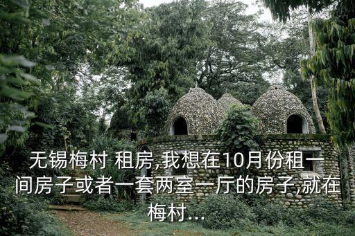 無(wú)錫梅村 租房,我想在10月份租一間房子或者一套兩室一廳的房子,就在梅村...