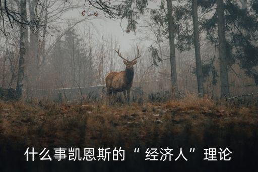 什么事凱恩斯的“ 經(jīng)濟(jì)人”理論