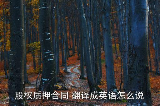 合同法翻譯成英文怎么說(shuō),你好用英文怎么說(shuō),翻譯系統(tǒng)