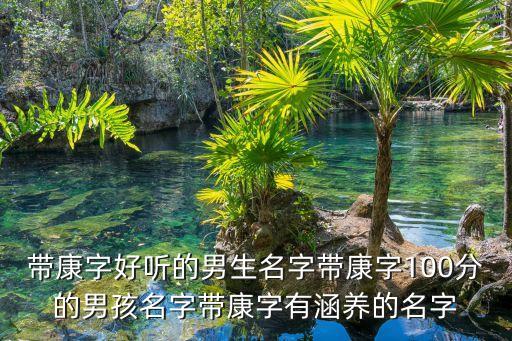 康亮,中山六院康亮