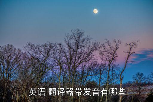  英語 翻譯器帶發(fā)音有哪些