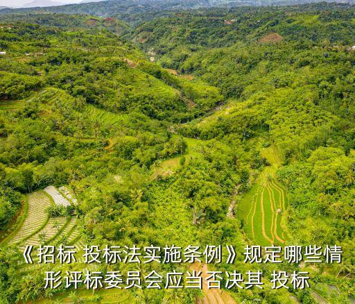 投標需要遵循的法律有哪些,投標預算書包括哪些內(nèi)容