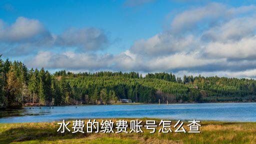 水費戶號怎么查詢,農村水費戶號怎么查詢