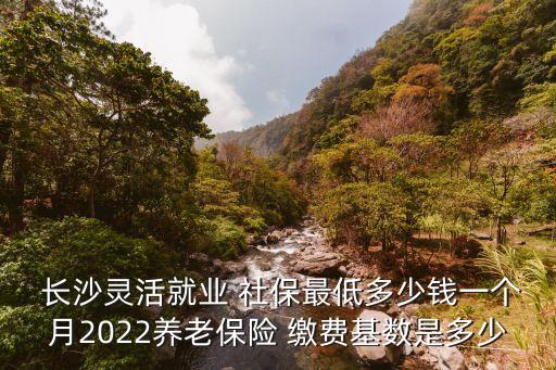  長沙靈活就業(yè) 社保最低多少錢一個月2022養(yǎng)老保險 繳費基數(shù)是多少