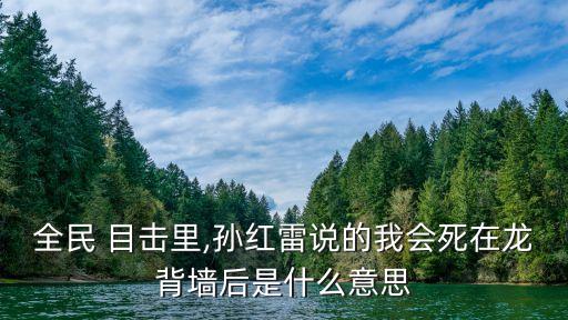 全名目擊,全民目擊免費觀看完整版電視劇